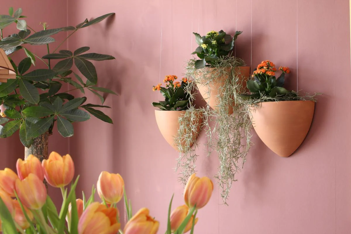 Kit Cache-pot de fleurs suspendu vert - suspension de Jardinière Botaniq Artiteq - Image 10